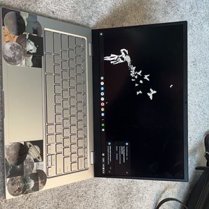 asus chromebook(silver)